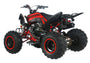 PENTORA 200 EFI