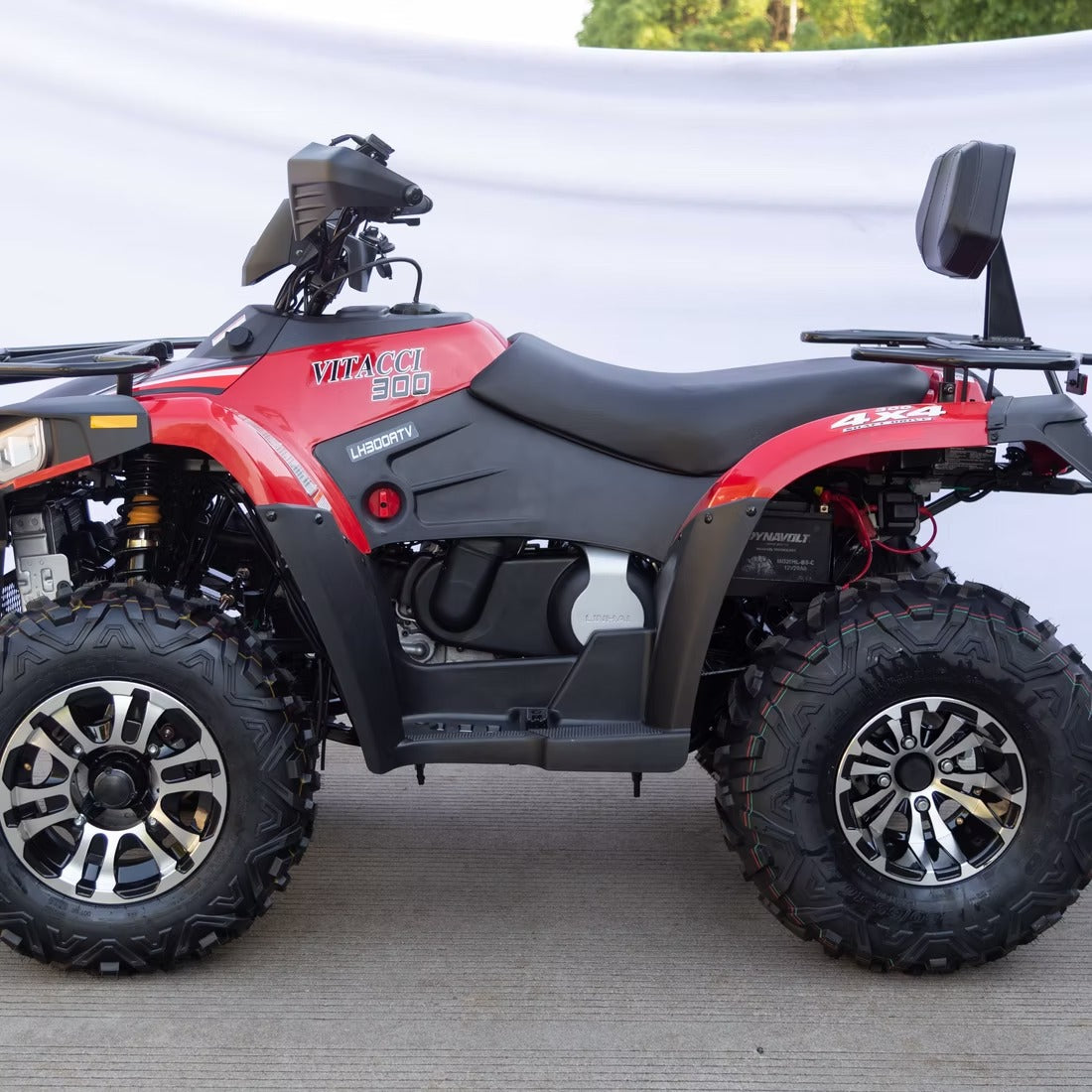 TERMINATOR 300cc