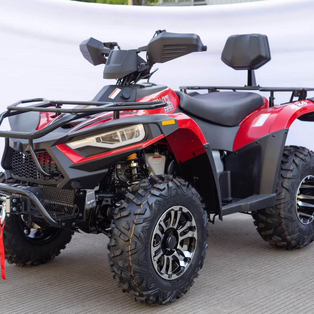TERMINATOR 300cc