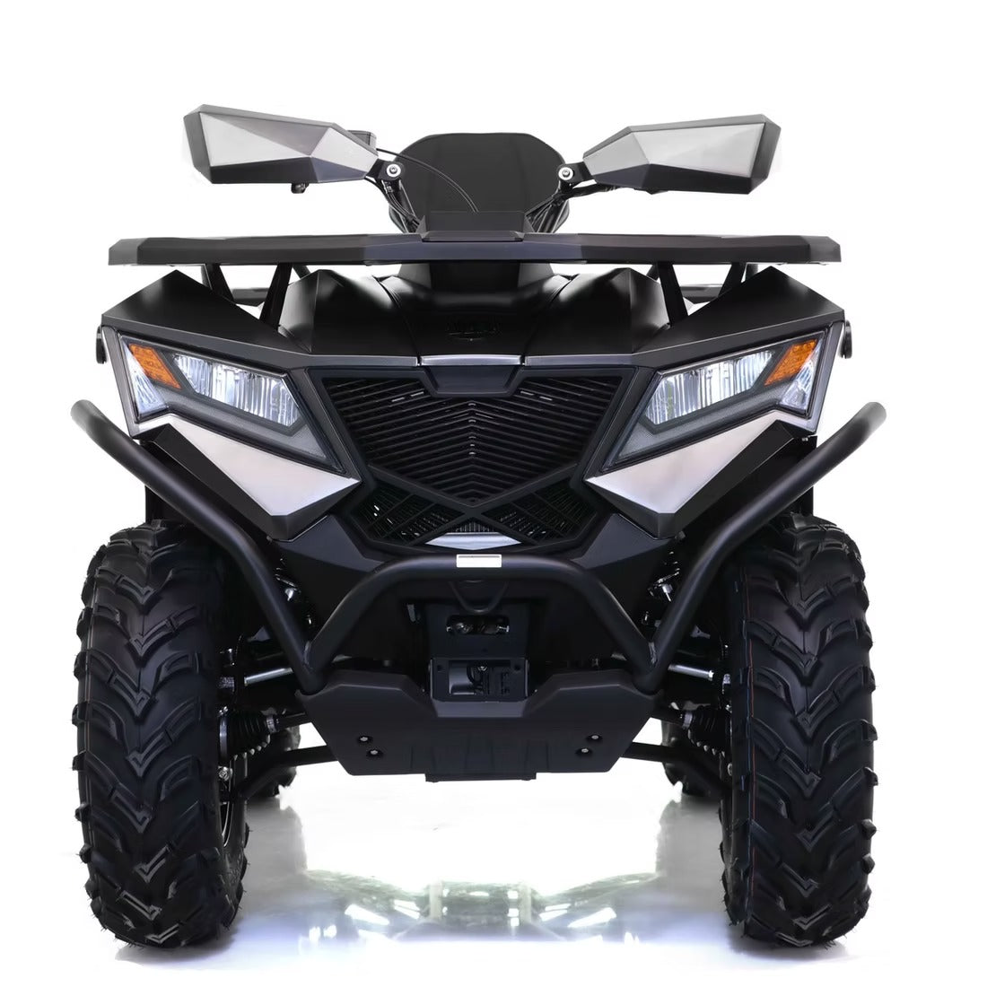 CYBER ROAMER 300 EFI