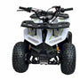 RXR 110cc