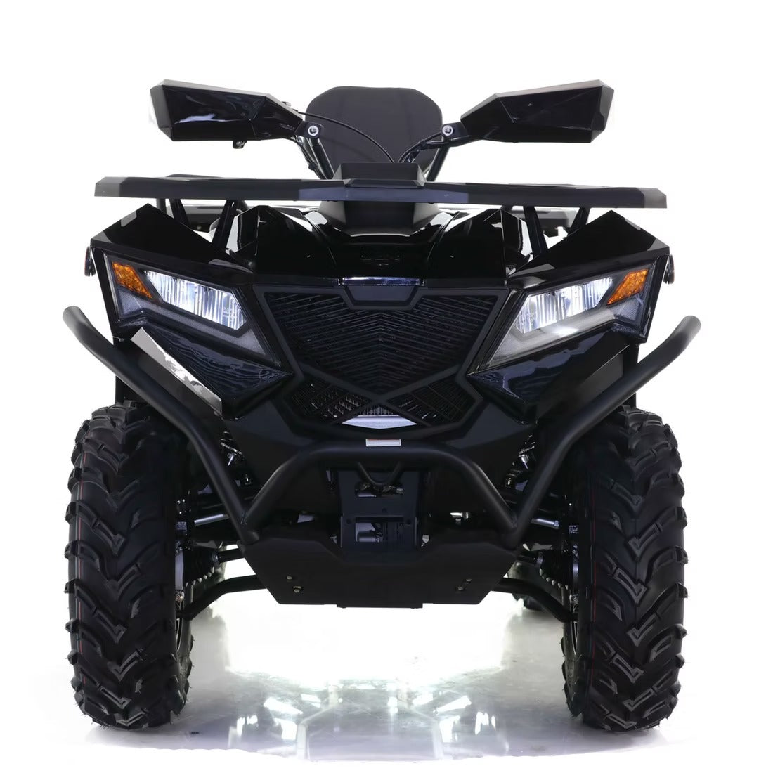 CYBER ROAMER 300 EFI
