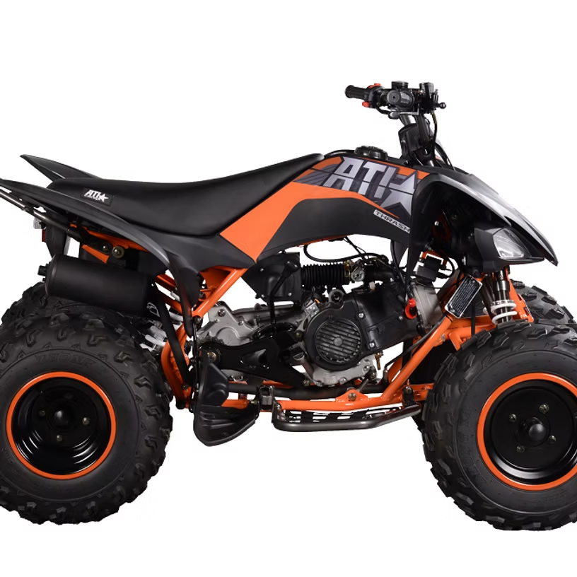 PENTORA 200 EFI