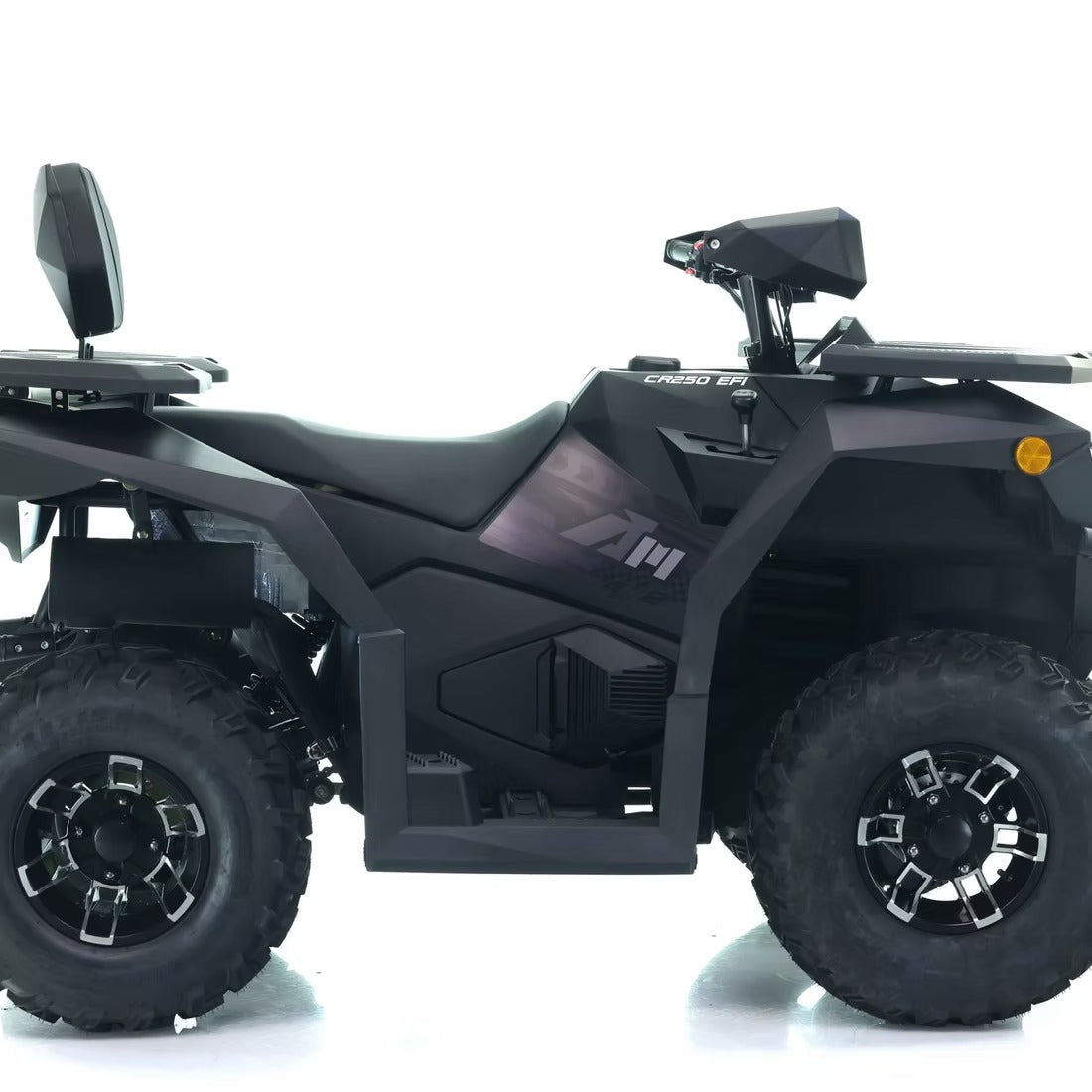 CYBER ROAMER 250 EFI