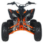 PENTORA 200 EFI