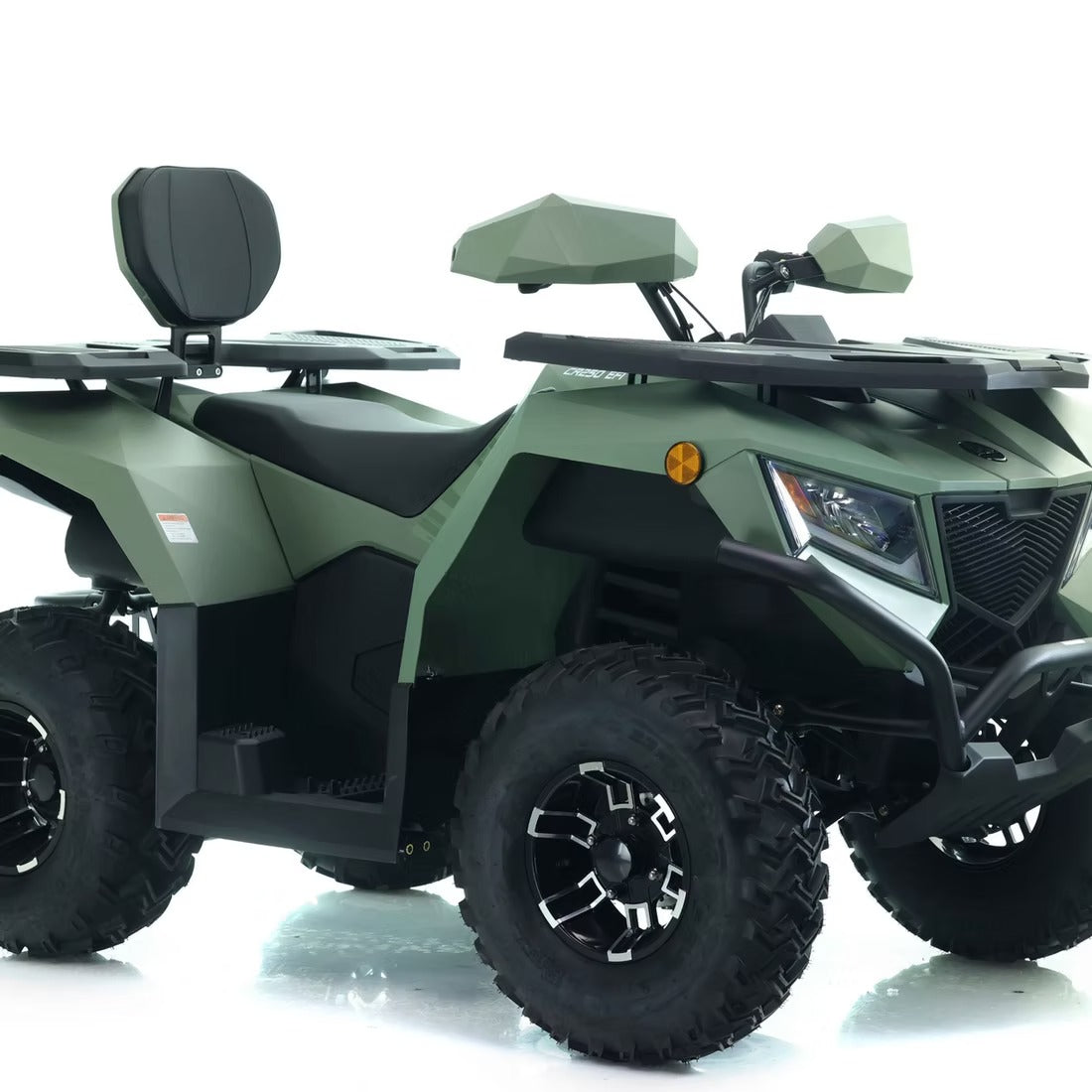 CYBER ROAMER 250 EFI