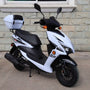 Focus 50cc