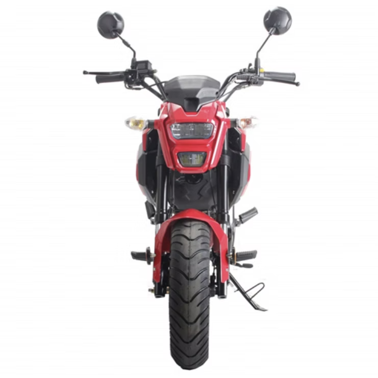 VADER 125CC - Manual