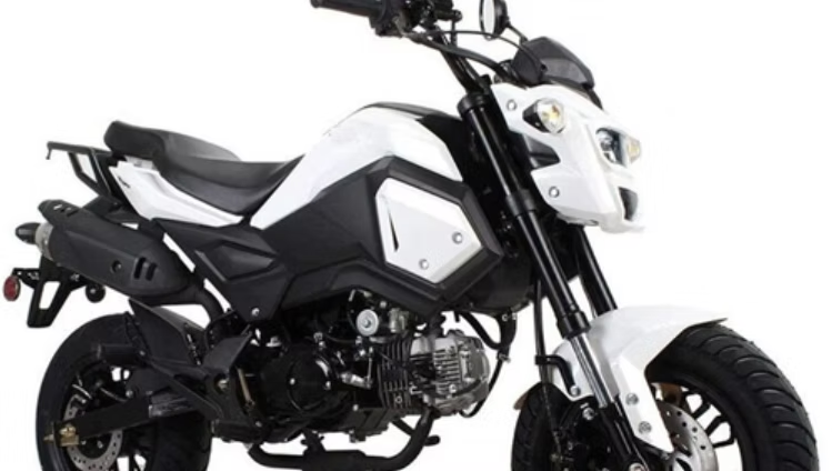 VADER 125CC - Manual