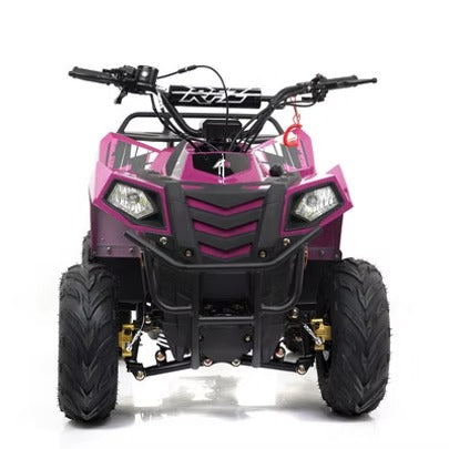 Mini COMMANDER 110cc