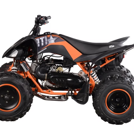 PENTORA 200 EFI