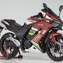 TITAN 250 EFI