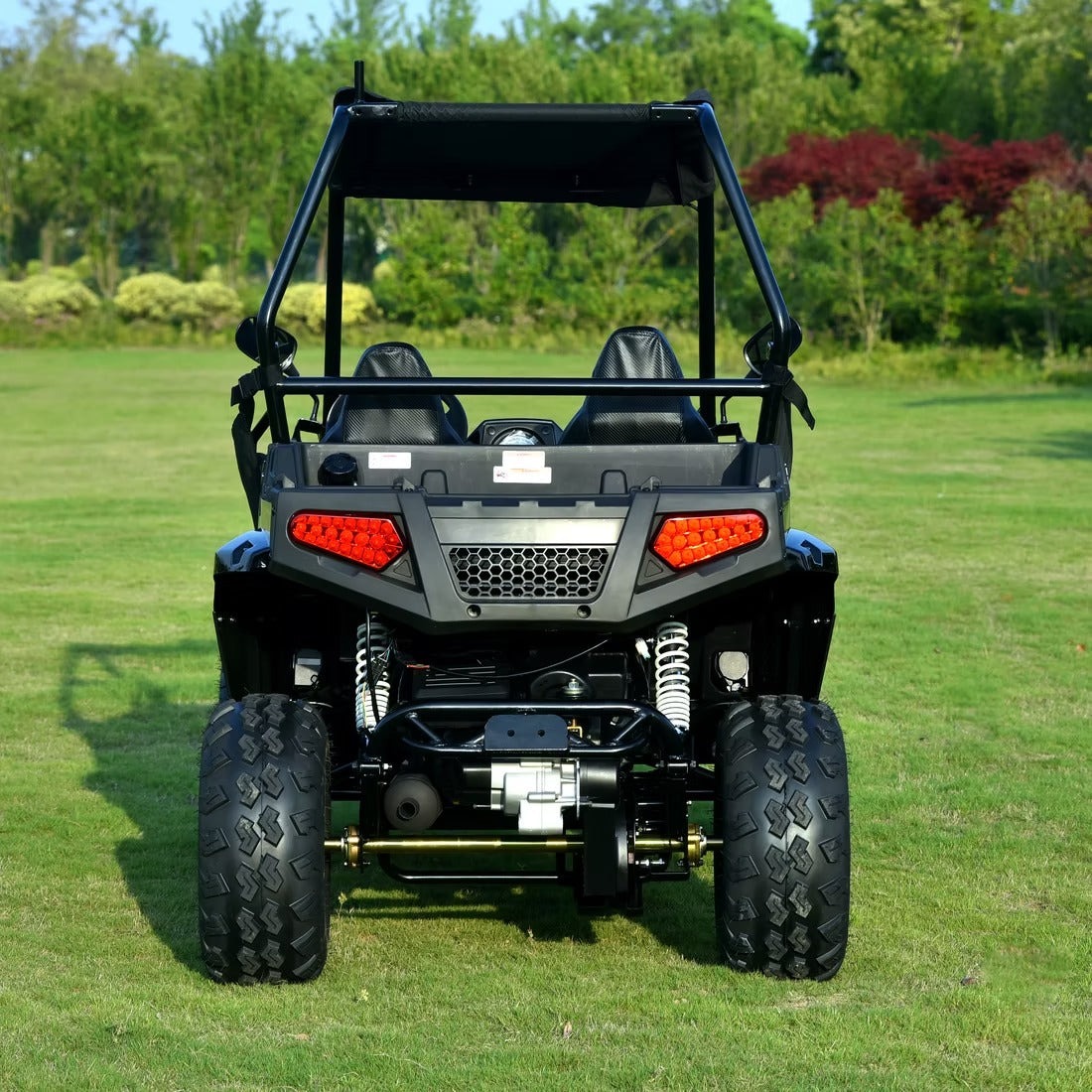 BLADE 200 EFI