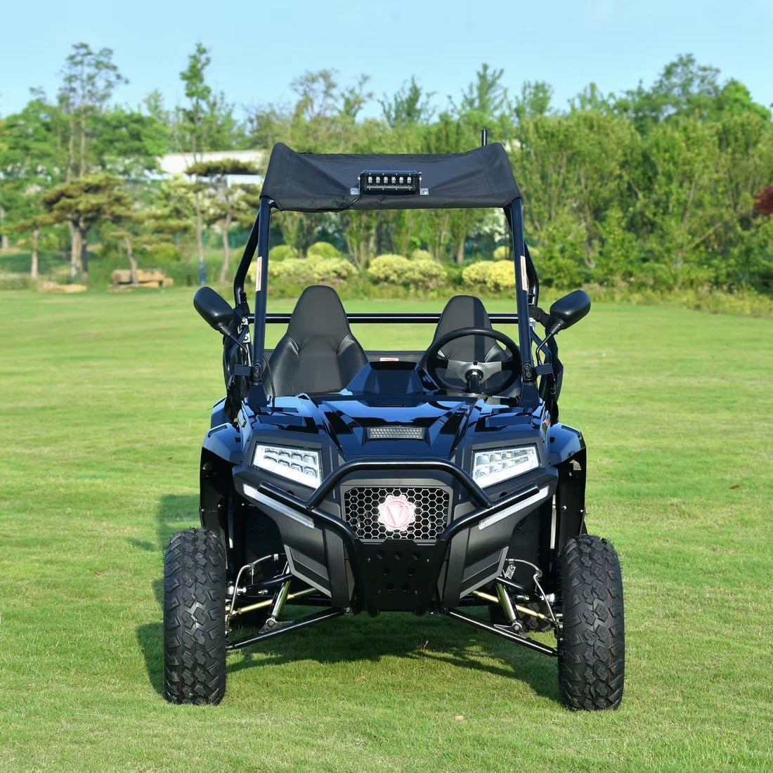 BLADE 200 EFI