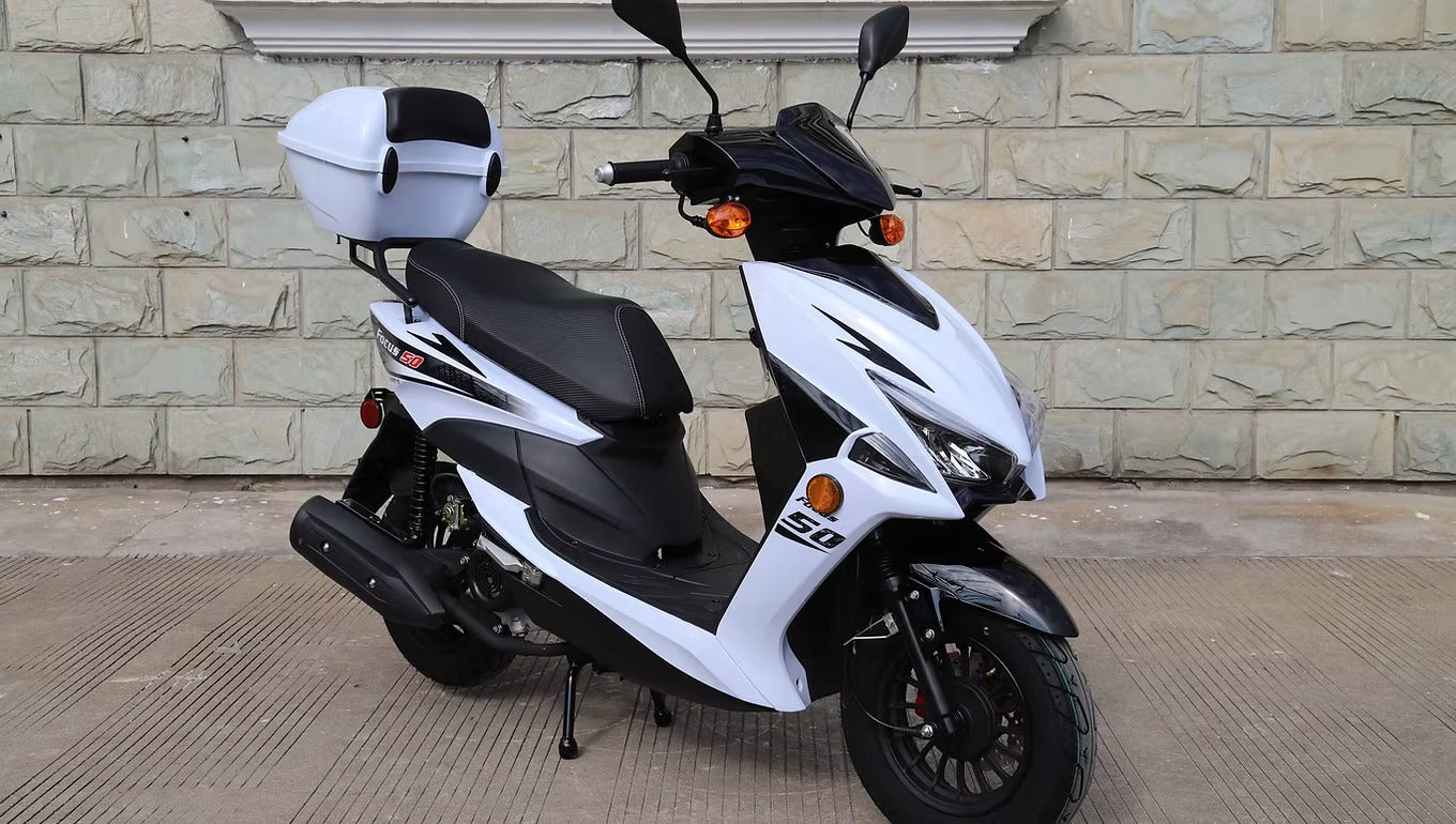 Focus 50cc