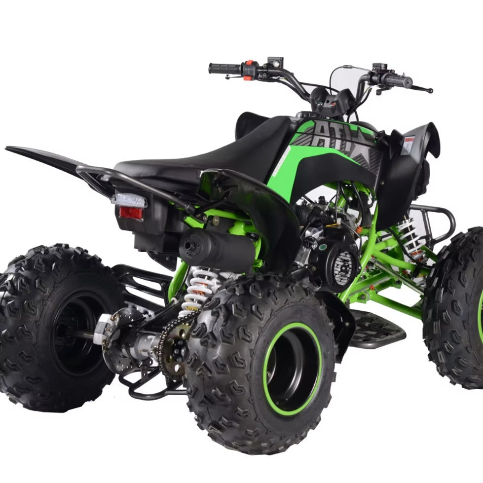 PENTORA 200 EFI