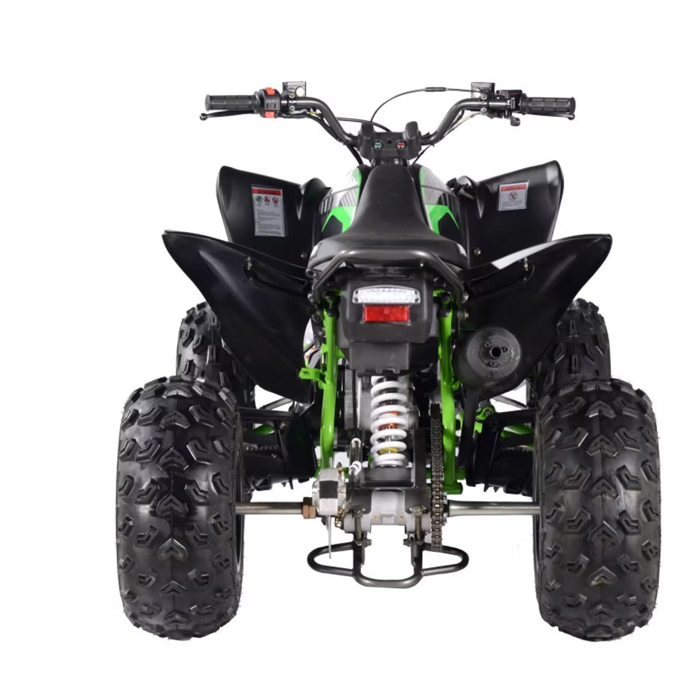 PENTORA 200 EFI