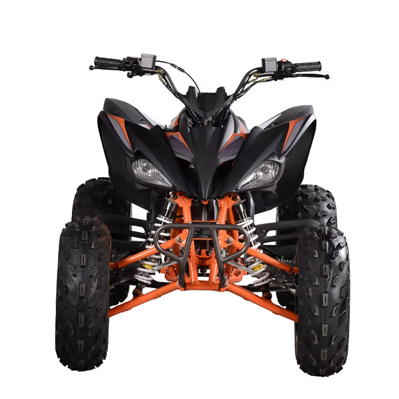 PENTORA 200 EFI