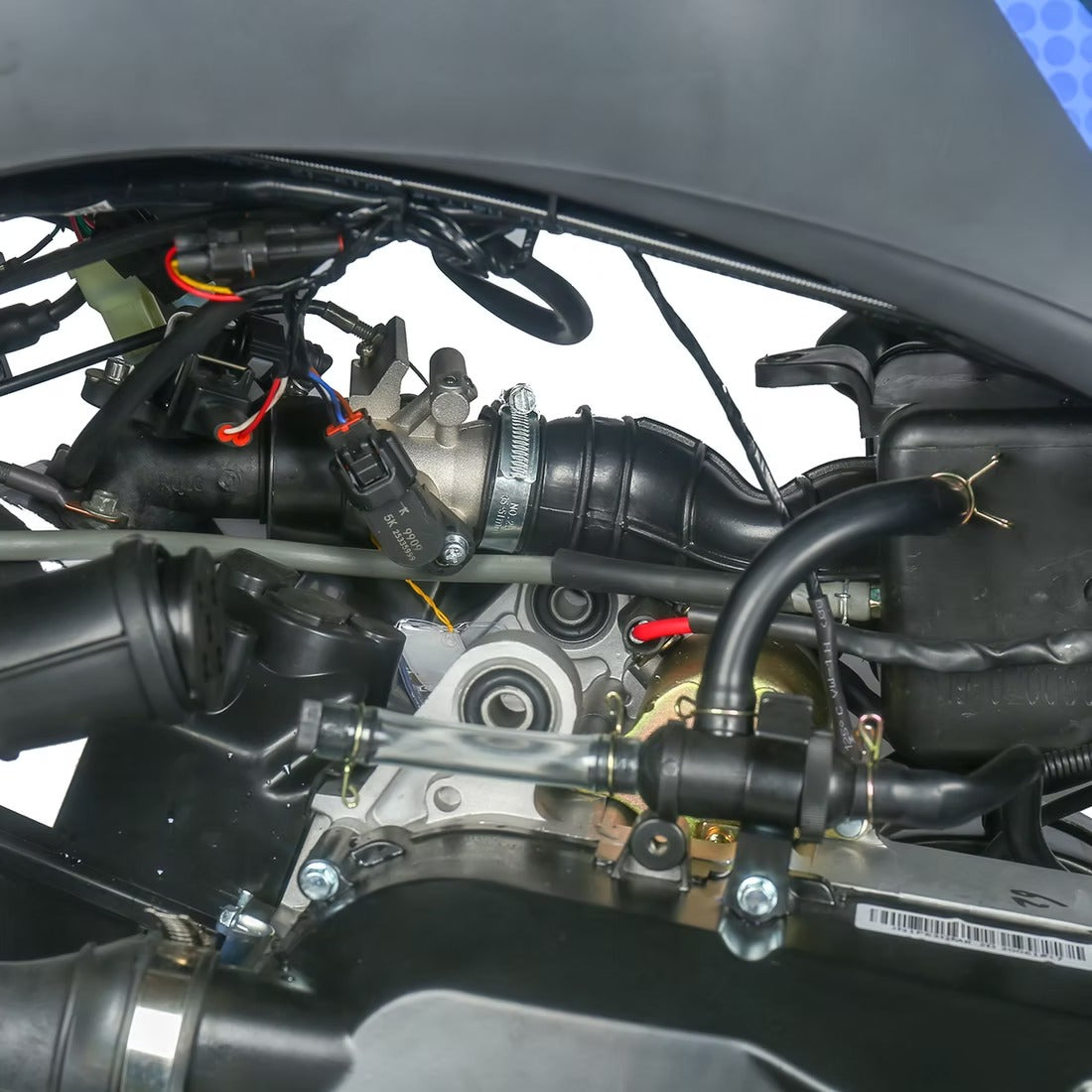 PENTORA 200 EFI
