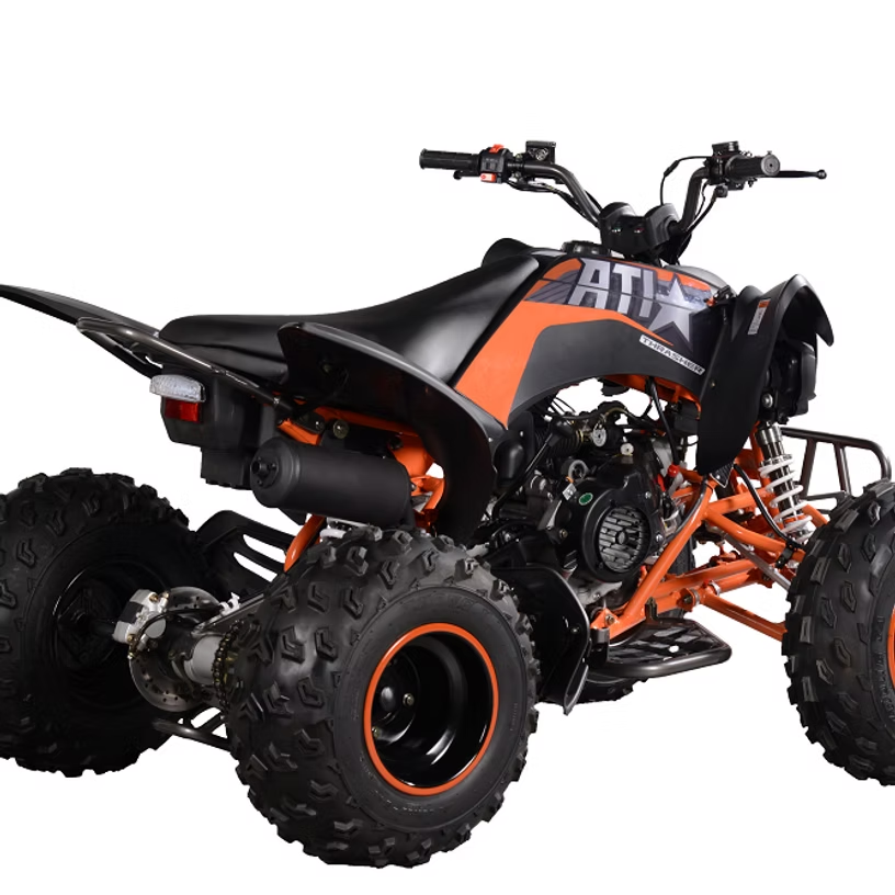 PENTORA 200 EFI