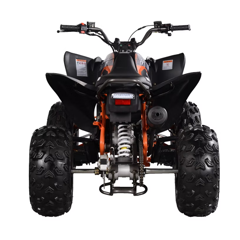 PENTORA 200 EFI
