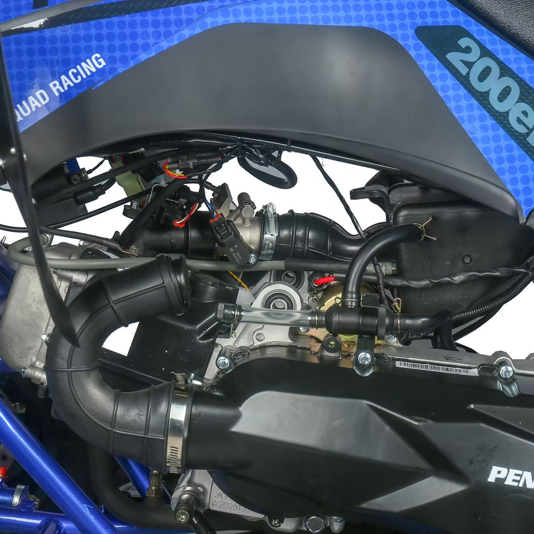 PENTORA 200 EFI