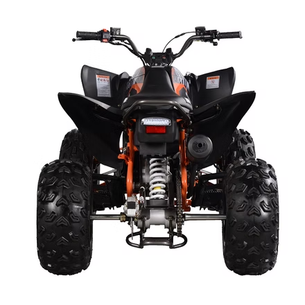PENTORA 200 EFI