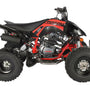 PENTORA SPORT 250cc